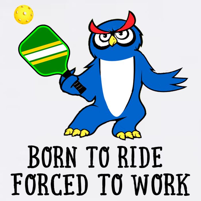 Pickleball Owl Forced To Work SKY Toddler T-Shirt