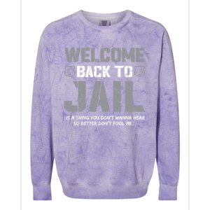 Probation Officer Funny Instructive Quote Parole Officer Gift Colorblast Crewneck Sweatshirt