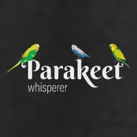 Parakeet Owner Gift Bird Lover Parakeet Whisperer Adult Drive Performance Visor