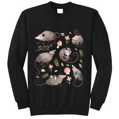 Possum Opossum Lover Owner Cottagecore Kawaii Sweatshirt