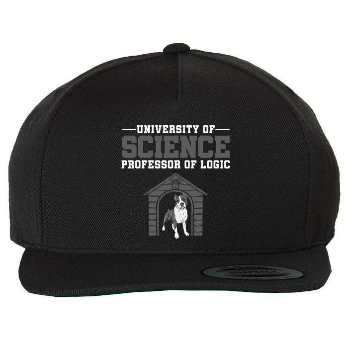 Professor Of Logic At The University Science Syllogistic Wool Snapback Cap