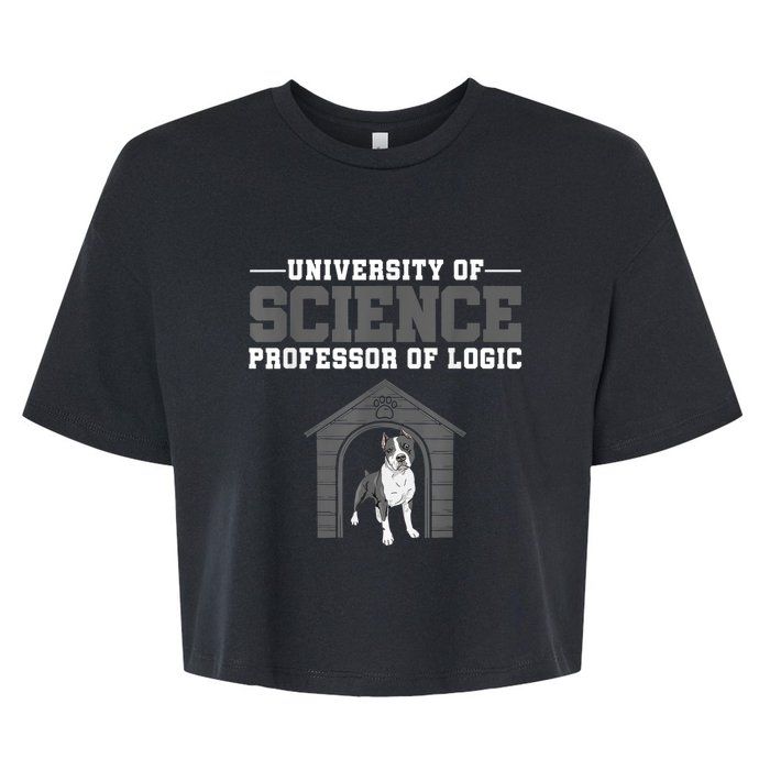 Professor Of Logic At The University Of Science Syllogistic Bella+Canvas Jersey Crop Tee