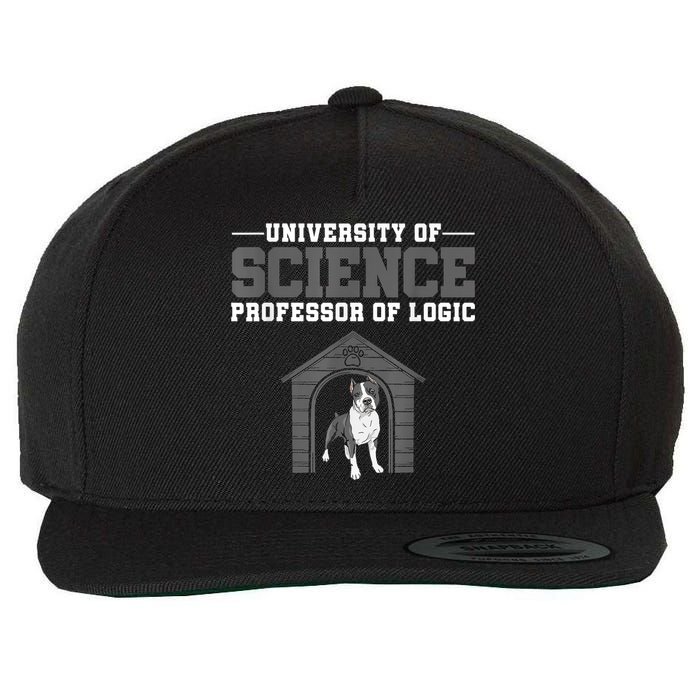 Professor Of Logic At The University Of Science Syllogistic Wool Snapback Cap