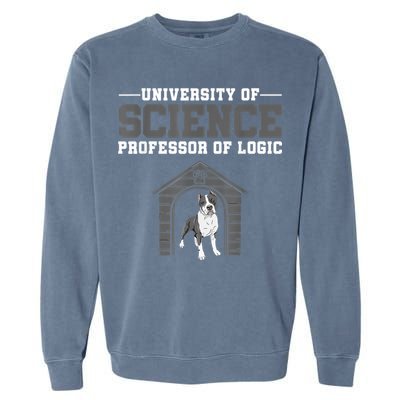 Professor Of Logic At The University Of Science Syllogistic Garment-Dyed Sweatshirt