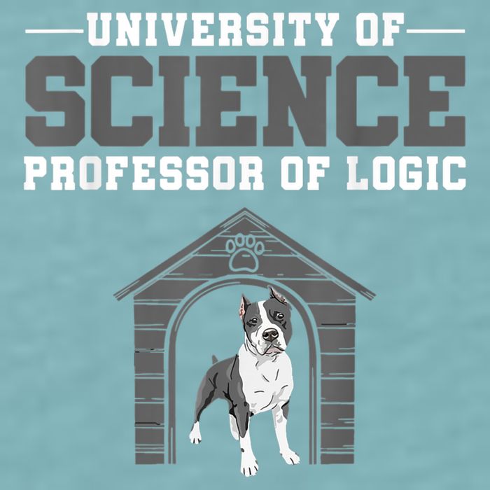 Professor Of Logic At The University Of Science Syllogistic Sueded Cloud Jersey T-Shirt