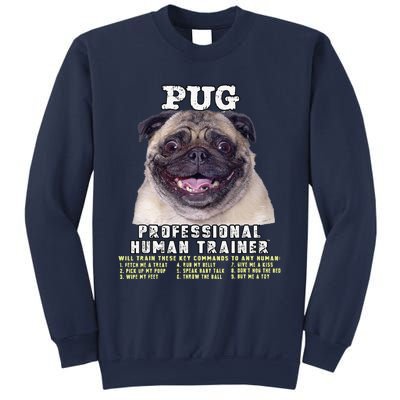 Pug Owner Lover Professional Human Trainer Gift Cute Dog Sweatshirt