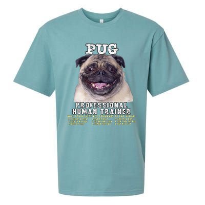 Pug Owner Lover Professional Human Trainer Gift Cute Dog Sueded Cloud Jersey T-Shirt