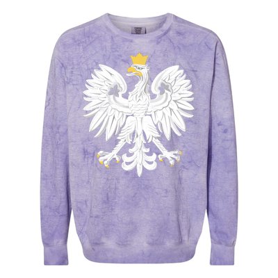 Poland Pride Vintage Eagle Colorblast Crewneck Sweatshirt