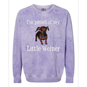 Proud Of My Little Wiener Funny Dog Colorblast Crewneck Sweatshirt