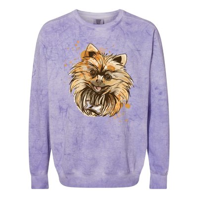 Pomeranian Dog Colorblast Crewneck Sweatshirt