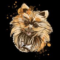 Pomeranian Dog Stripe Pom Pom Beanie