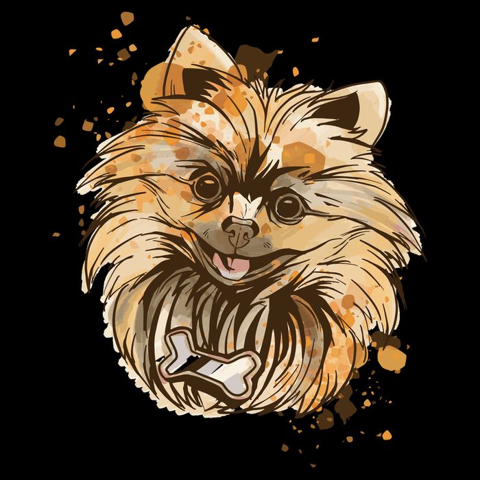 Pomeranian Dog Stripe Pom Pom Beanie