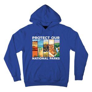 Protect Our National Parks Camping Nature Hiking Outdoor Gift Hoodie