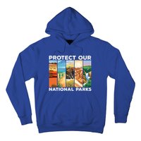 Protect Our National Parks Camping Nature Hiking Outdoor Gift Hoodie