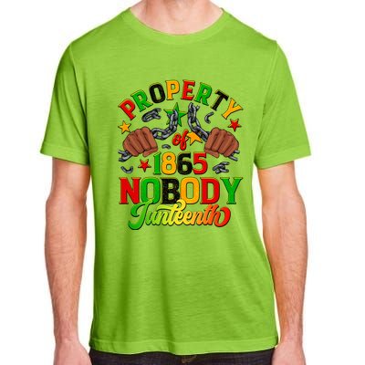 Property Of Nobody Junenth American African Freedom Gift Adult ChromaSoft Performance T-Shirt