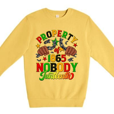 Property Of Nobody Junenth American African Freedom Gift Premium Crewneck Sweatshirt