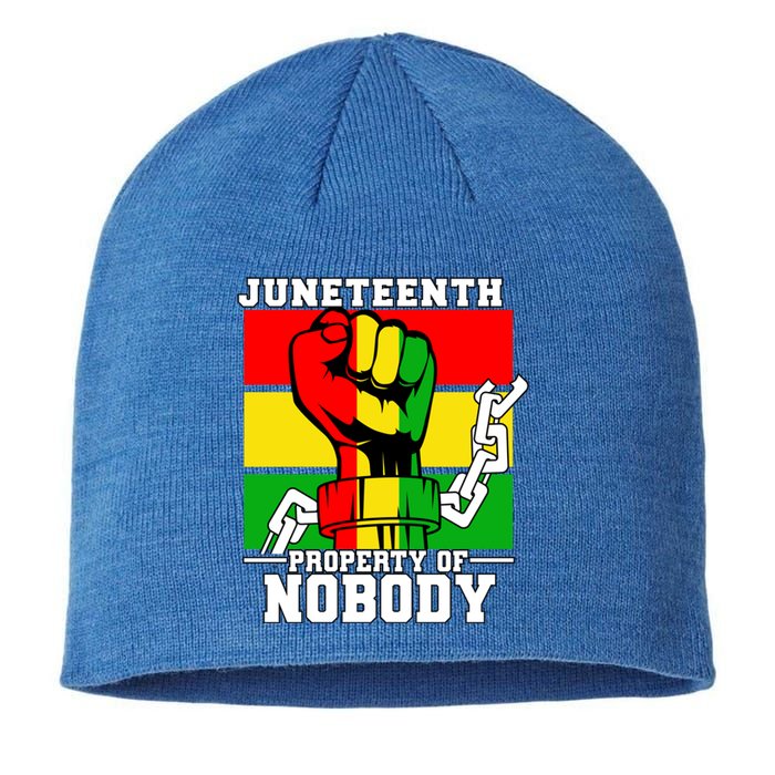 Property Of Nobody Junenth Black History 1865 Freedom Funny Gift Sustainable Beanie