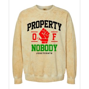 Property Of Nobody Juneteenth Black woman Gifts Colorblast Crewneck Sweatshirt