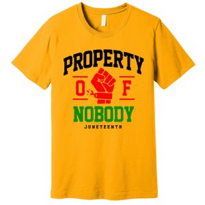 Property Of Nobody Juneteenth Black woman Gifts Premium T-Shirt