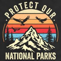 Protect Our National Parks Retro Nature Conservation 15oz Campfire Ceramic Mug