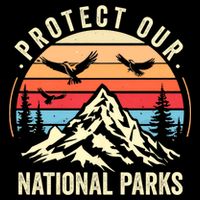 Protect Our National Parks Retro Nature Conservation Wool Snapback Cap