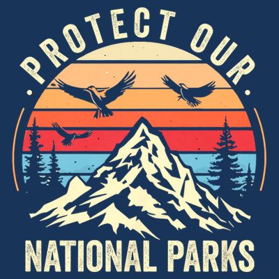 Protect Our National Parks Retro Nature Conservation T-Shirt