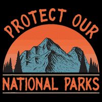 Protect Our National Parks Us Alt Resist Sustainable Bucket Hat