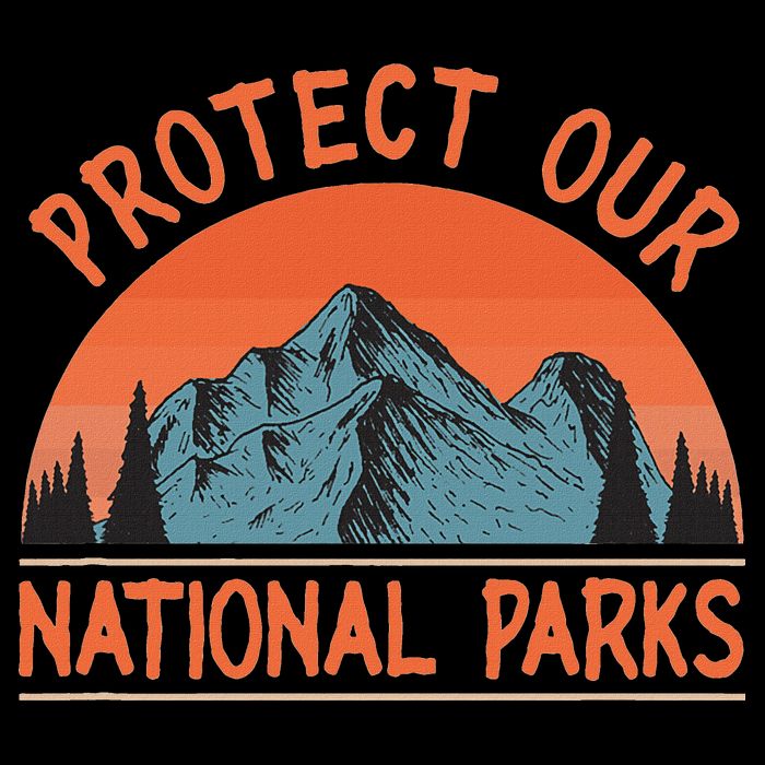 Protect Our National Parks Us Alt Resist Sustainable Bucket Hat