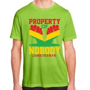 Property Of Nobody Junenth Black History Junenth Gift Adult ChromaSoft Performance T-Shirt