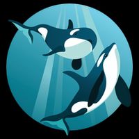 Pair Of Orcas Swimming Wool Snapback Cap