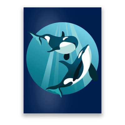 Pair Of Orcas Swimming Poster