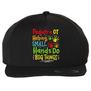 Pediatric OT Occupational Therapy Therapist Wool Snapback Cap