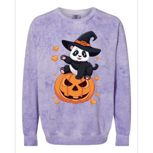 Panda On Pumpkin Witch Hat Pumpkin Face Halloween Panda Colorblast Crewneck Sweatshirt