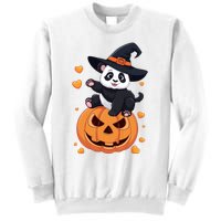 Panda On Pumpkin Witch Hat Pumpkin Face Halloween Panda Sweatshirt