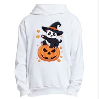 Panda On Pumpkin Witch Hat Pumpkin Face Halloween Panda Urban Pullover Hoodie