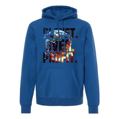 Planet Over Profit Earth Day 2022 Invest In Our Planet Gift Premium Hoodie