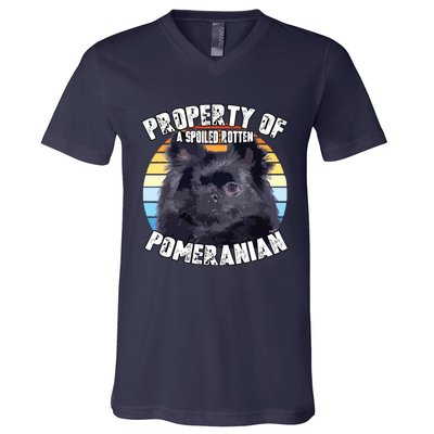 Property Of Pomeranian Black V-Neck T-Shirt