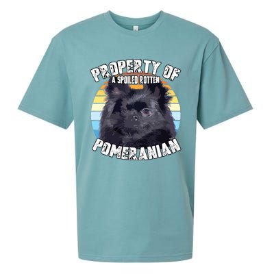 Property Of Pomeranian Black Sueded Cloud Jersey T-Shirt