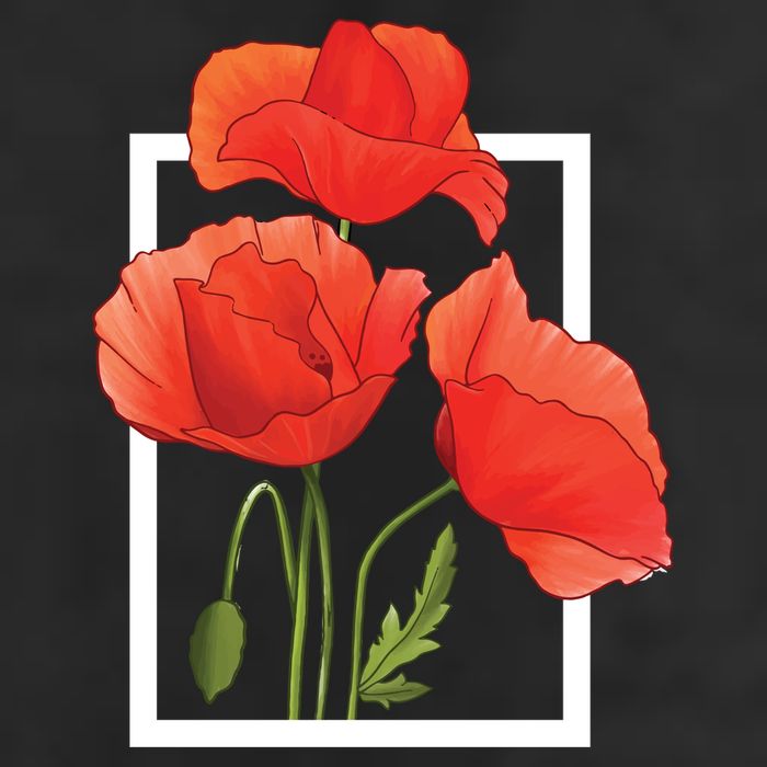 Poppy Flowers 11oz C Handle Ceramic Mug