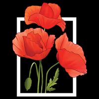 Poppy Flowers Womens Tank Top