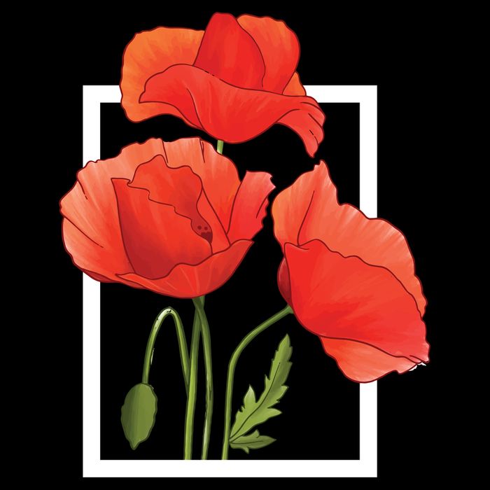 Poppy Flowers Womens Tank Top