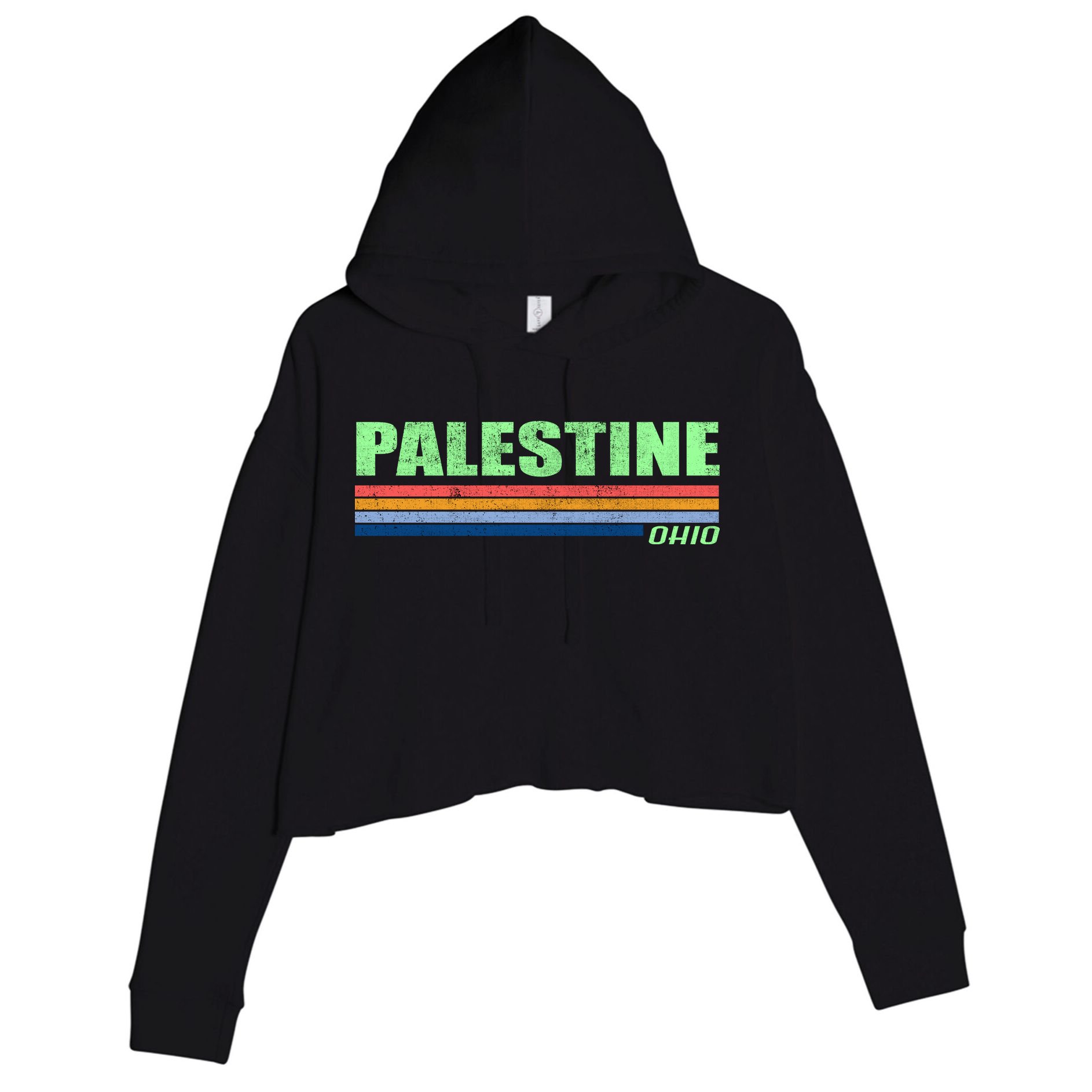 Palestine Ohio Retro Crop Fleece Hoodie