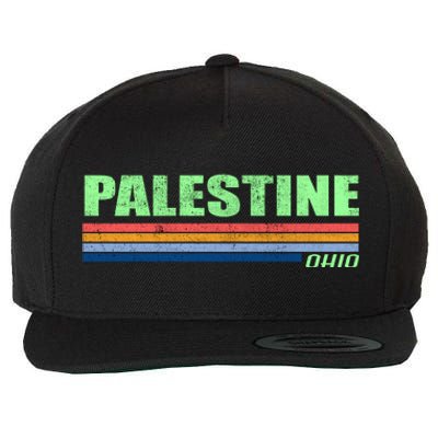 Palestine Ohio Retro Wool Snapback Cap