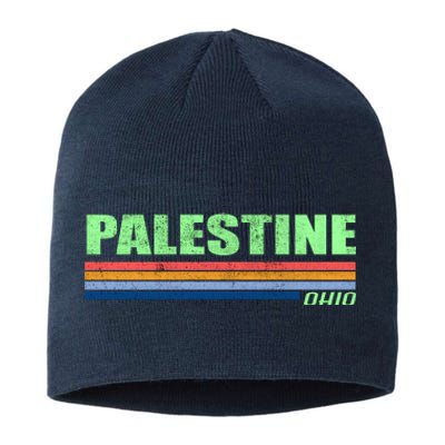 Palestine Ohio Retro Sustainable Beanie