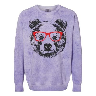 Portrait of Bear with glasses Colorblast Crewneck Sweatshirt