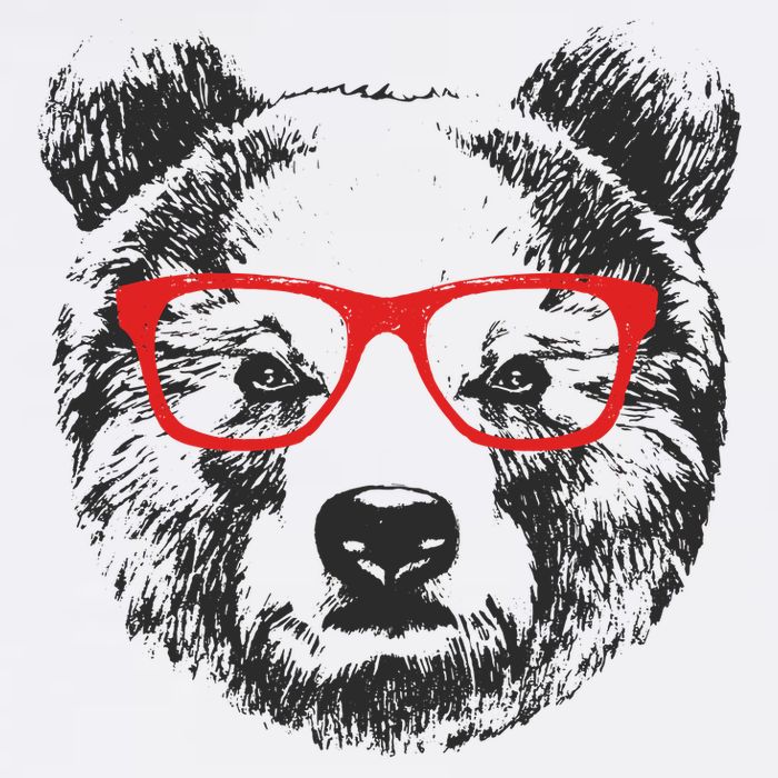 Portrait of Bear with glasses Adult Drive Performance Visor