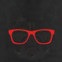 Portrait of French Bulldog with glasses Adult Drive Performance Visor