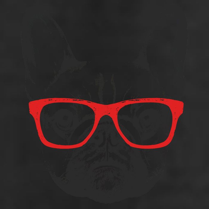 Portrait of French Bulldog with glasses Adult Drive Performance Visor