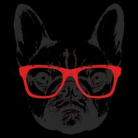 Portrait of French Bulldog with glasses Toddler Hoodie