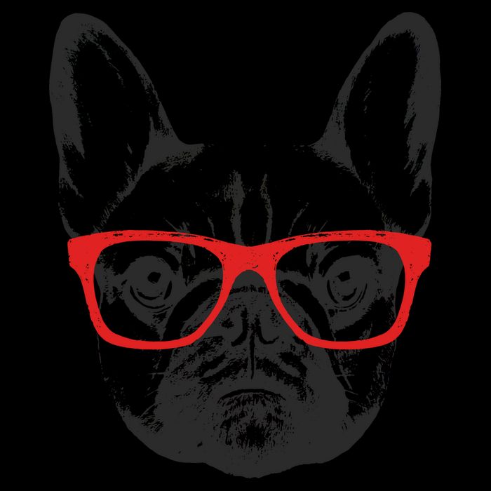 Portrait of French Bulldog with glasses Toddler Hoodie
